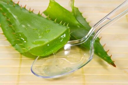 Ο χυμός Kalanchoe χρησιμοποιείται για τη θεραπεία της προστατίτιδας